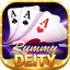 rummy perfect download