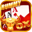 rummy dragon vs tiger game download